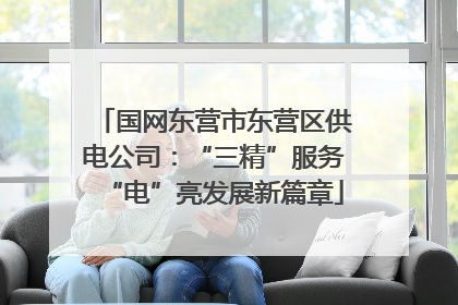 国网东营市东营区供电公司：“三精”服务“电”亮发展新篇章