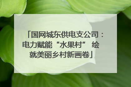 国网城东供电支公司：电力赋能“水果村” 绘就美丽乡村新画卷