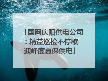 国网庆阳供电公司：精益巡检不停歇 迎峰度夏保供电