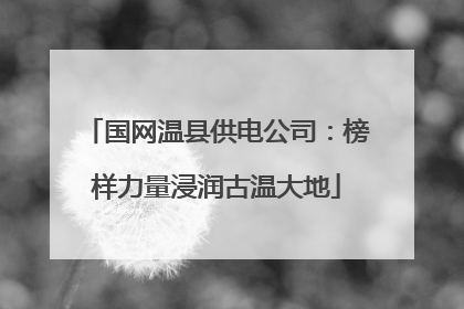 国网温县供电公司：榜样力量浸润古温大地