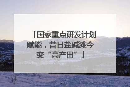 国家重点研发计划赋能，昔日盐碱滩今变“高产田”