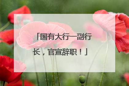 国有大行一副行长，官宣辞职！