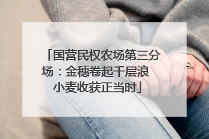 国营民权农场第三分场：金穗卷起千层浪 小麦收获正当时