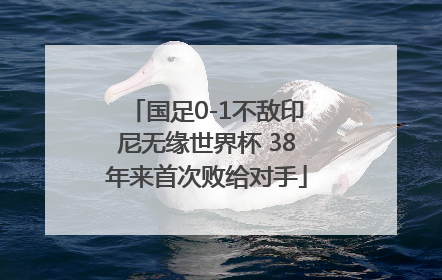 国足0-1不敌印尼无缘世界杯 38年来首次败给对手