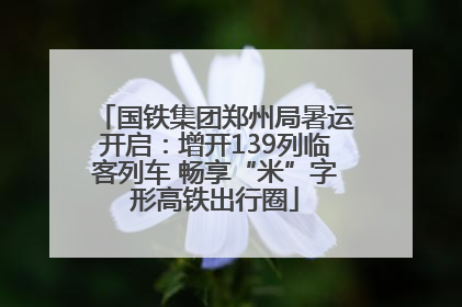 国铁集团郑州局暑运开启：增开139列临客列车 畅享“米”字形高铁出行圈