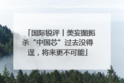国际锐评丨美妄图扼杀“中国芯”过去没得逞，将来更不可能