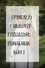 四维发力！湖北沙洋打造法治化营商环境新标杆