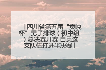 四川省第五届“贡嘎杯”男子排球（初中组）总决赛开赛 自贡这支队伍打进半决赛