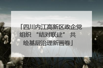 四川内江高新区政企党组织 “结对联建” 共绘基层治理新画卷