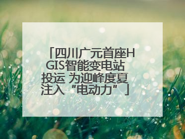 四川广元首座HGIS智能变电站投运 为迎峰度夏注入“电动力”
