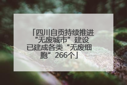 四川自贡持续推进“无废城市”建设 已建成各类“无废细胞”266个