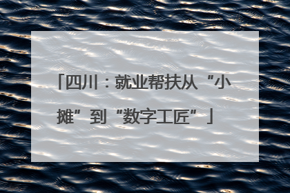 四川：就业帮扶从“小摊”到“数字工匠”
