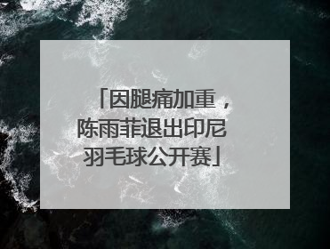 因腿痛加重，陈雨菲退出印尼羽毛球公开赛