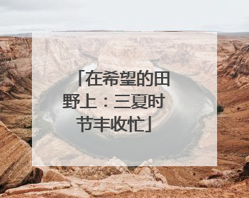 在希望的田野上：三夏时节丰收忙