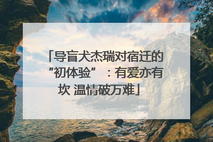 导盲犬杰瑞对宿迁的“初体验”：有爱亦有坎 温情破万难