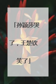孙颖莎哭了，王楚钦笑了