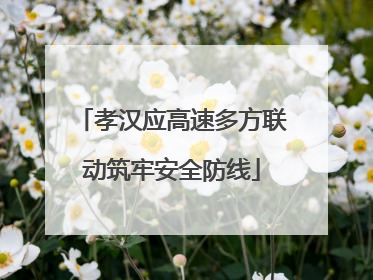孝汉应高速多方联动筑牢安全防线