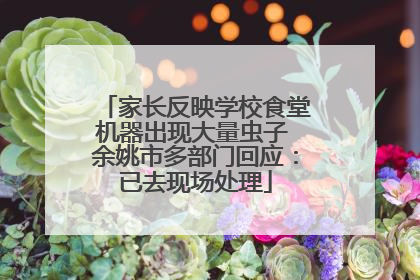 家长反映学校食堂机器出现大量虫子 余姚市多部门回应：已去现场处理