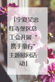 宁夏吴忠红寺堡区总工会开展“携手童行”主题慰问活动