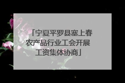 宁夏平罗县塞上春农产品行业工会开展工资集体协商