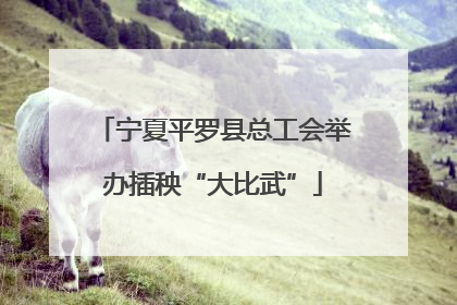 宁夏平罗县总工会举办插秧“大比武”