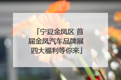 宁夏金凤区 首届金凤汽车品牌展四大福利等你来