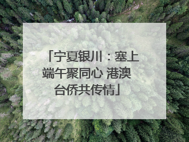 宁夏银川：塞上端午聚同心 港澳台侨共传情