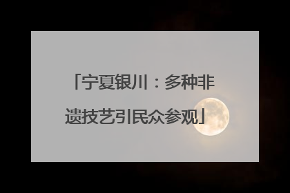 宁夏银川：多种非遗技艺引民众参观