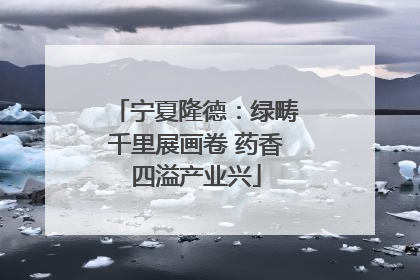 宁夏隆德：绿畴千里展画卷 药香四溢产业兴