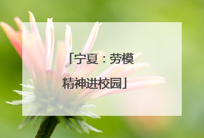 宁夏：劳模精神进校园
