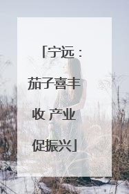 宁远：茄子喜丰收 产业促振兴