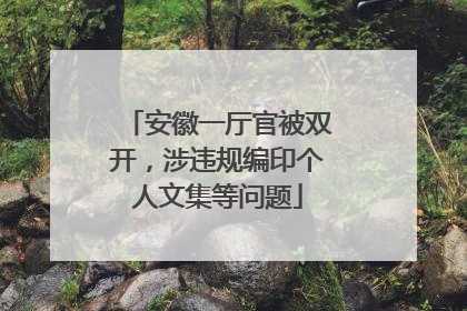 安徽一厅官被双开，涉违规编印个人文集等问题