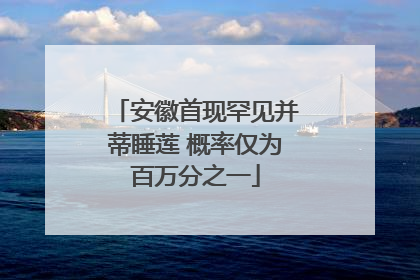 安徽首现罕见并蒂睡莲 概率仅为百万分之一