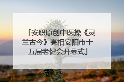 安职原创中医操《灵兰古今》亮相安阳市十五届老健会开幕式