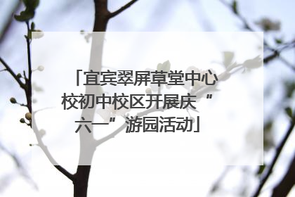 宜宾翠屏草堂中心校初中校区开展庆“六一”游园活动