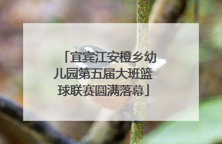 宜宾江安橙乡幼儿园第五届大班篮球联赛圆满落幕