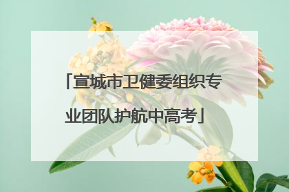 宣城市卫健委组织专业团队护航中高考