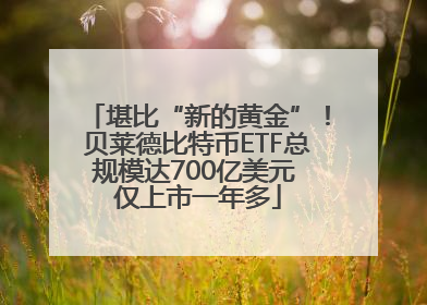 堪比“新的黄金”！贝莱德比特币ETF总规模达700亿美元 仅上市一年多