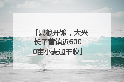夏粮开镰，大兴长子营镇近6000亩小麦迎丰收