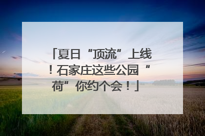 夏日“顶流”上线！石家庄这些公园“荷”你约个会！