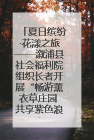 夏日缤纷·花漾之旅——溆浦县社会福利院组织长者开展“畅游薰衣草庄园 共享紫色浪漫”户外活动