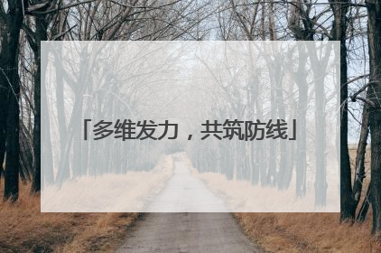 多维发力，共筑防线