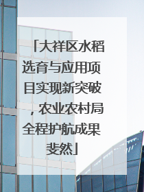 大祥区水稻选育与应用项目实现新突破，农业农村局全程护航成果斐然
