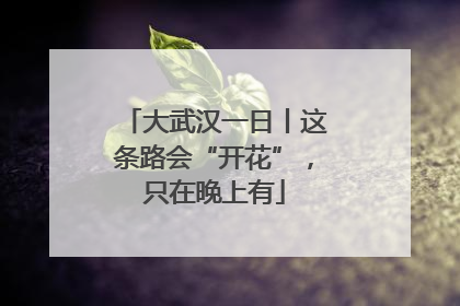 大武汉一日丨这条路会“开花”，只在晚上有