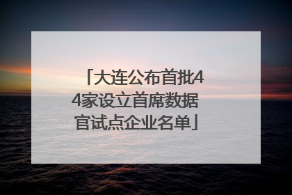大连公布首批44家设立首席数据官试点企业名单