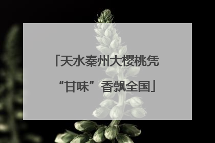 天水秦州大樱桃凭“甘味”香飘全国