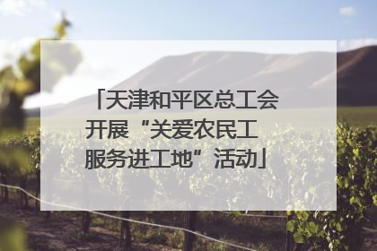 天津和平区总工会开展“关爱农民工 服务进工地”活动