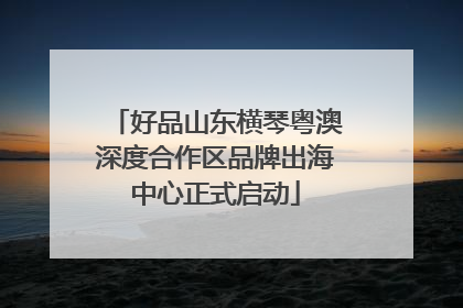 好品山东横琴粤澳深度合作区品牌出海中心正式启动