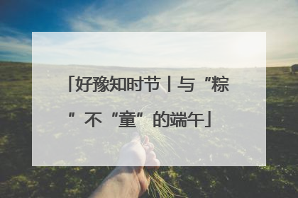 好豫知时节丨与“粽”不“童”的端午