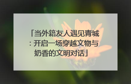 当外籍友人遇见青城：开启一场穿越文物与奶香的文明对话